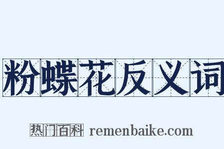 粉蝶花反义词是什么意思的图片